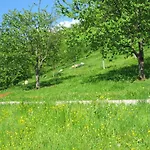 Fischer Seebach