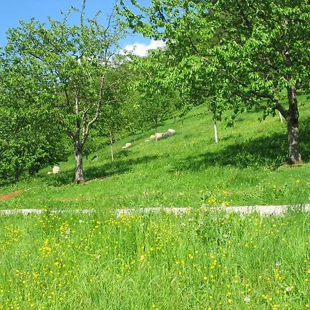 Fischer Зеебах