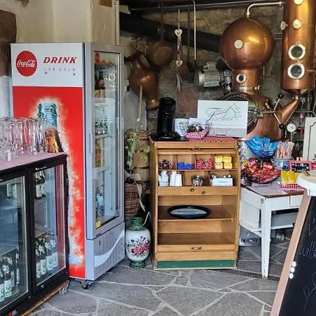 Fischer Апартаменты *