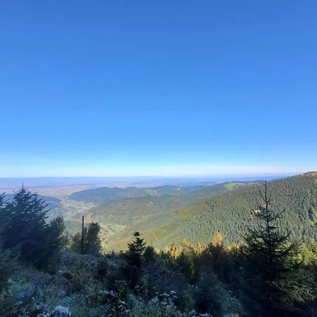 Fischer Апартаменты Зеебах