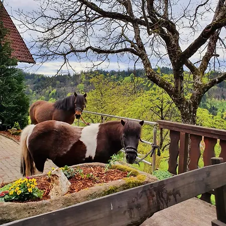 Fischer Зеебах