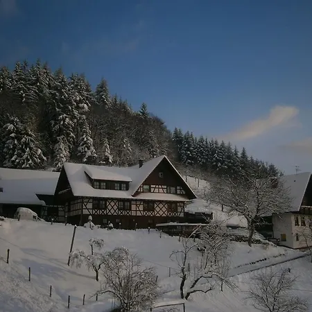 Апартаменты Fischer *