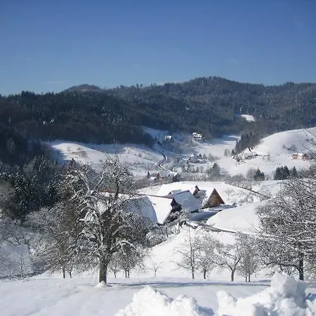 Апартаменты Fischer